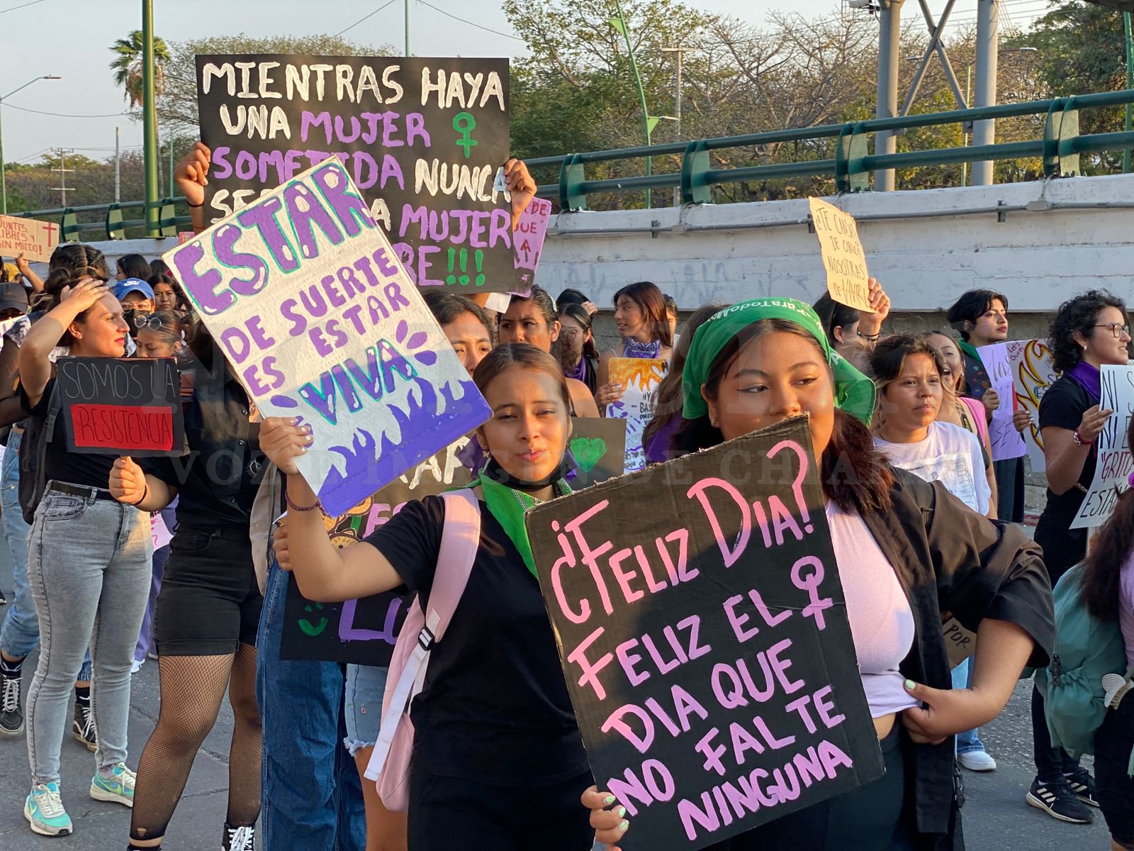 Más de 5 mil mujeres salen a las calles en el 8M en Tuxtla Gutiérrez ...