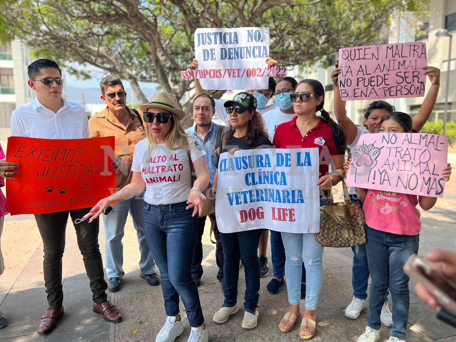Se manifiestan por el maltrato animal - Noticias Voz e Imagen de Chiapas