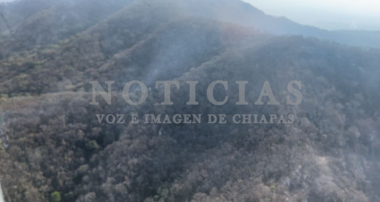 Calidad del aire sin afectaciones: Semahn - Noticias Voz e Imagen de ...